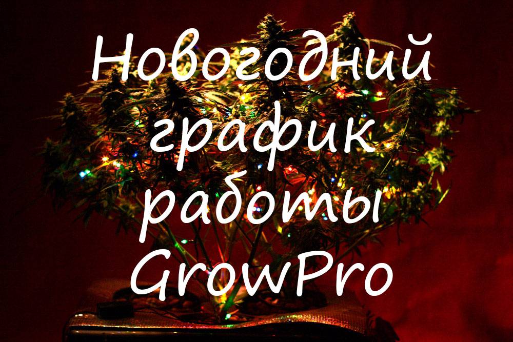Новорічний графік роботи GrowPro! 