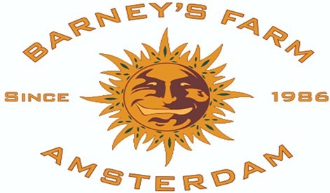 Самые убойные сорта каннабиса: семена Barney’s Farm