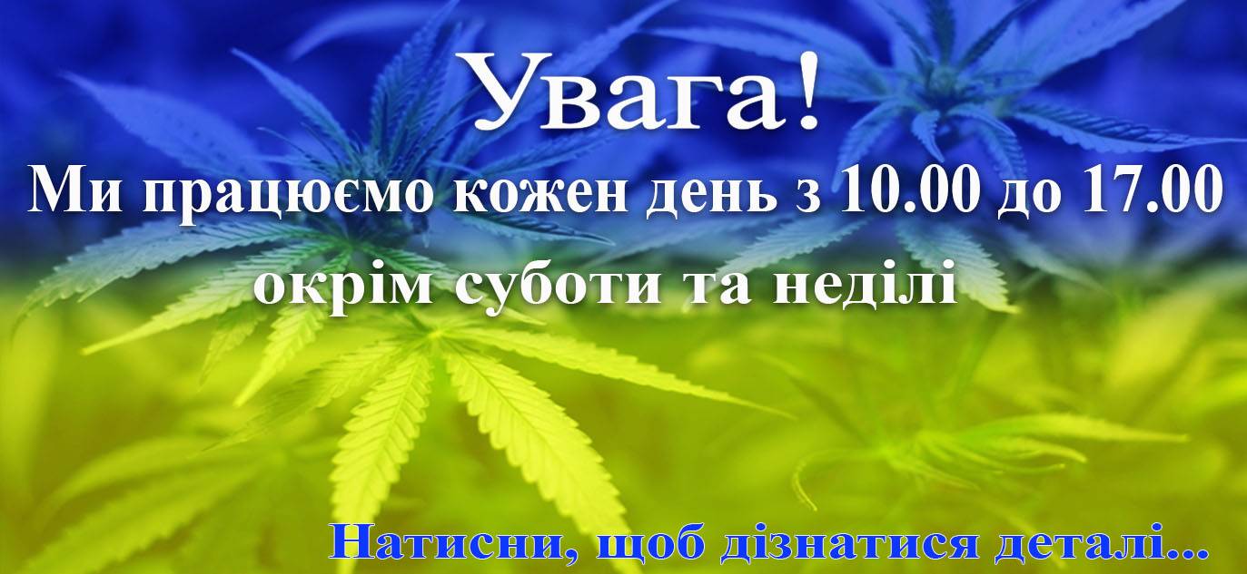 купить готовую марихуану в украине