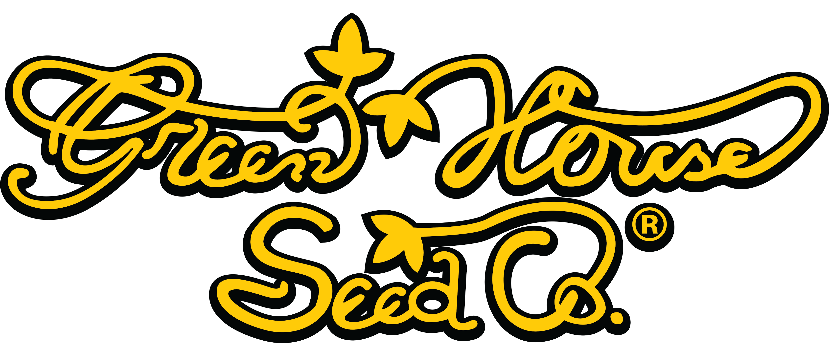 Самые убойные сорта каннабиса: семена Green House Seeds
