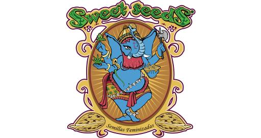 Найвбивчі сорти канабісу: насіння Sweet Seeds