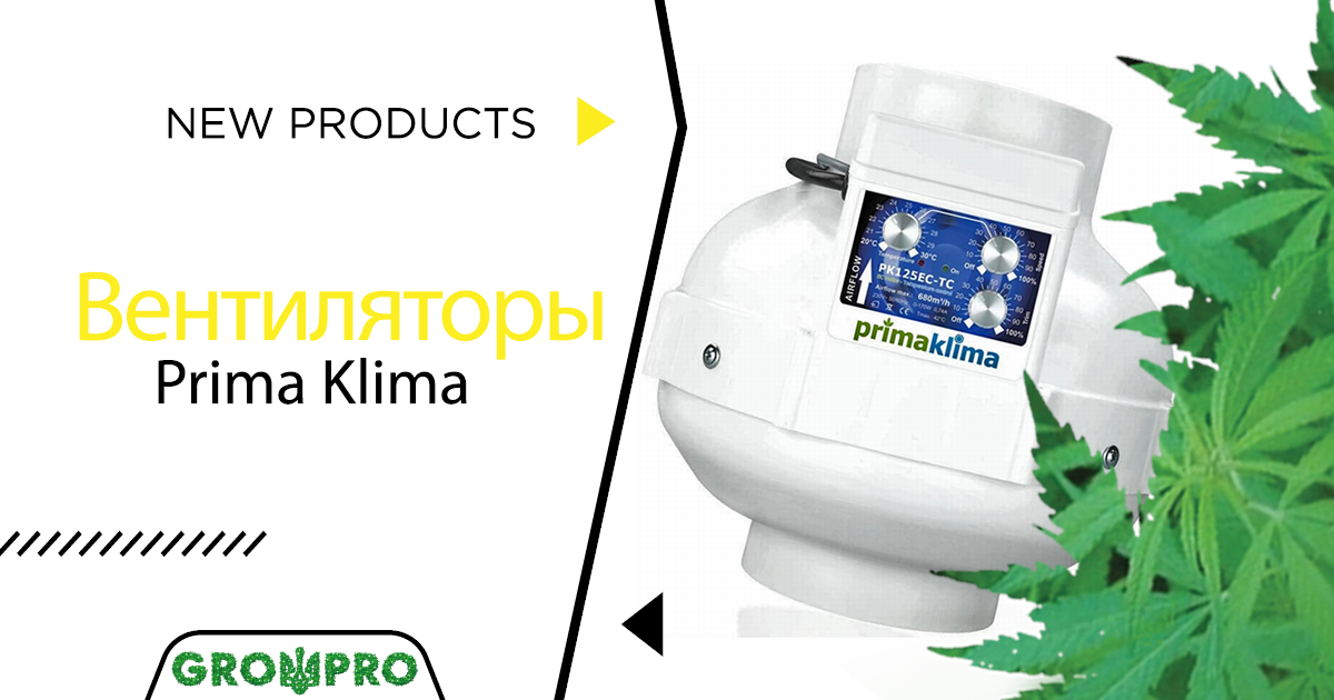 Prima Klima снова в продаже! 
