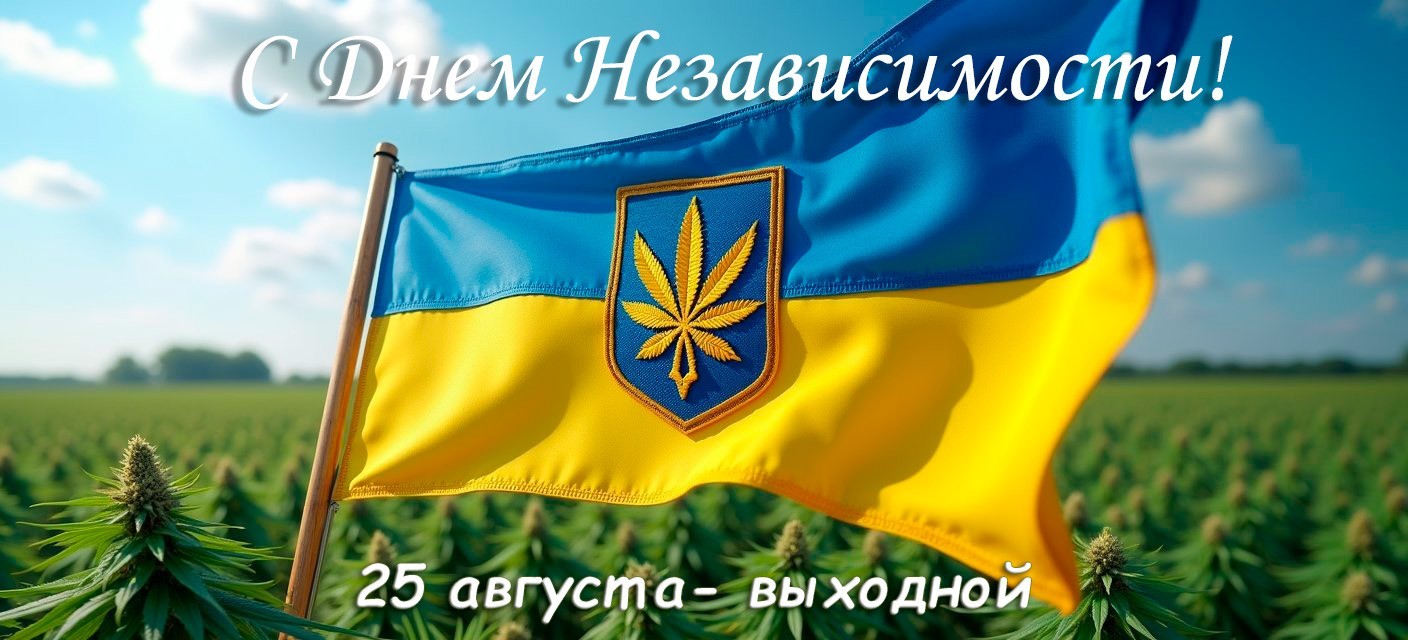 График работы на День независимости 2025!