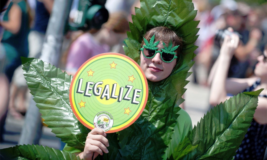 Легалайз марихуана сколько очищается организм от марихуаны