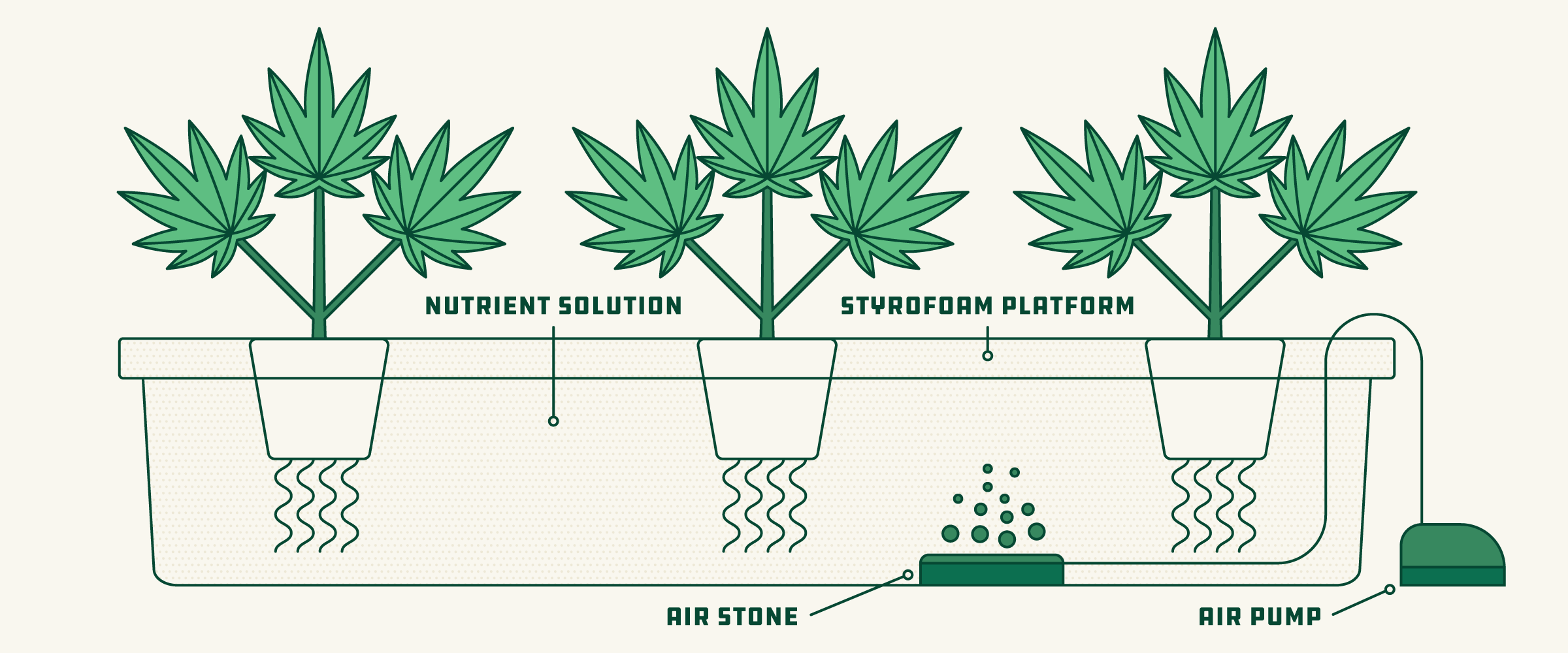 Как можно вырастить марихуану дома марихуаны по слюне