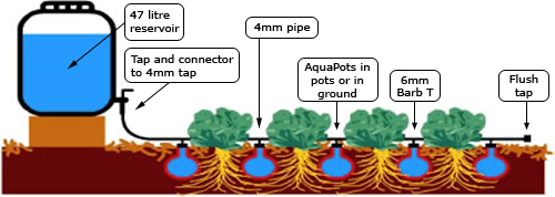 AquaPots Medium