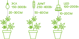 Какие лампы использовать для выращивания марихуаны darknet 3 попасть на гидру