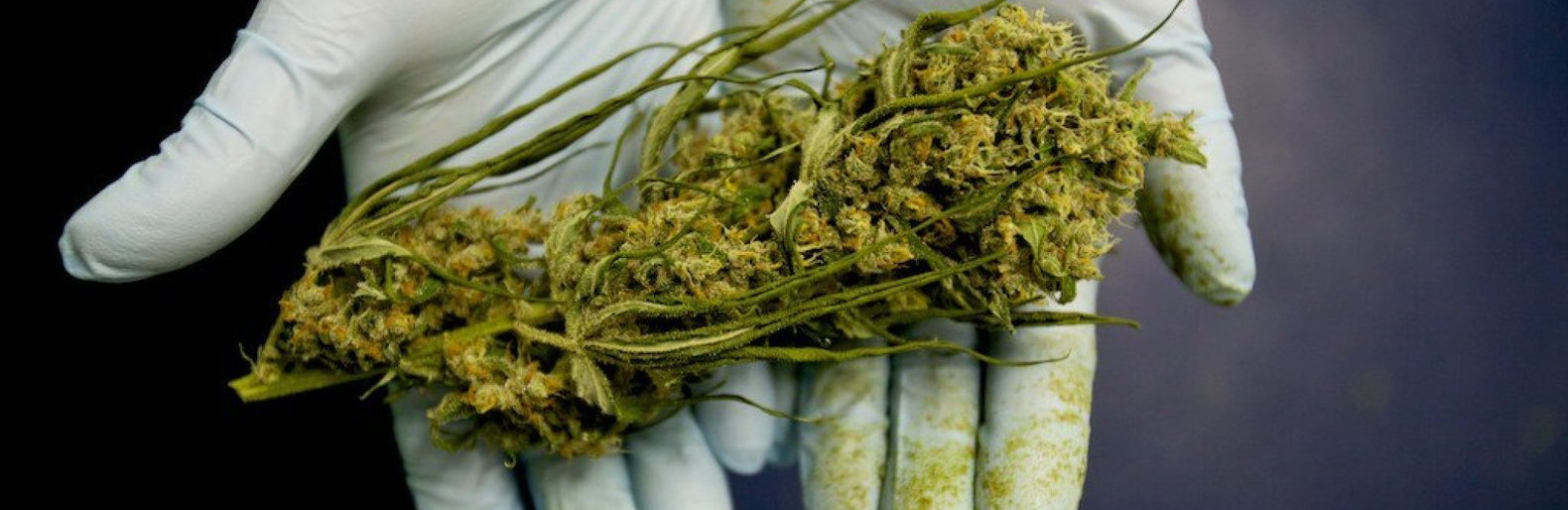 В каких лекарствах есть марихуану тор браузер порт hudra