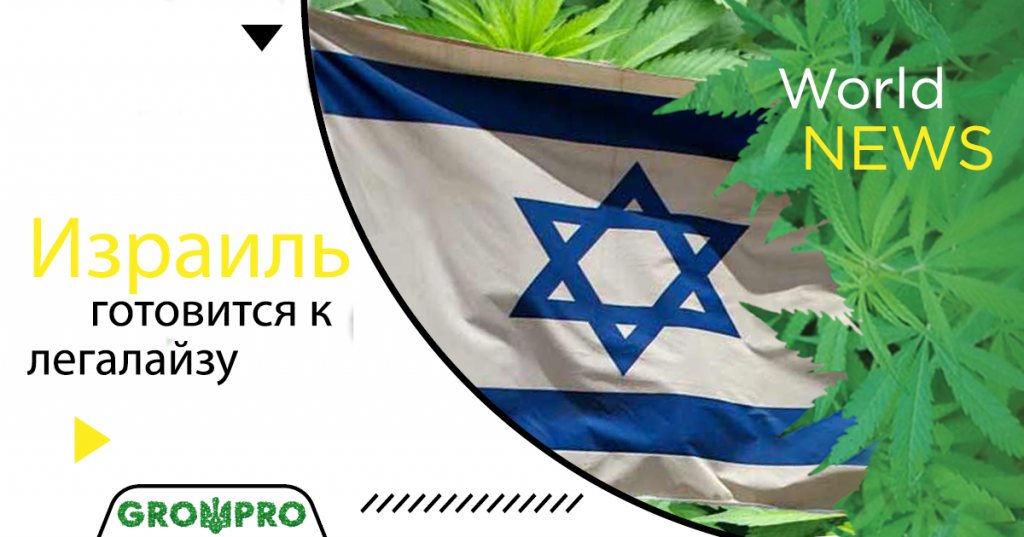 Легализована марихуана в израиле купить зерна конопли москва