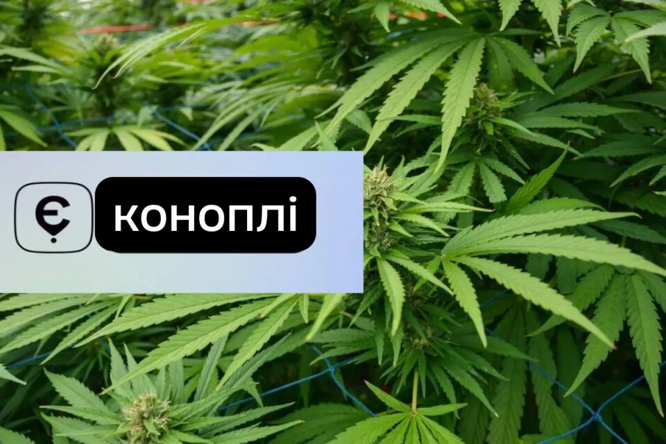 система єКоноплі