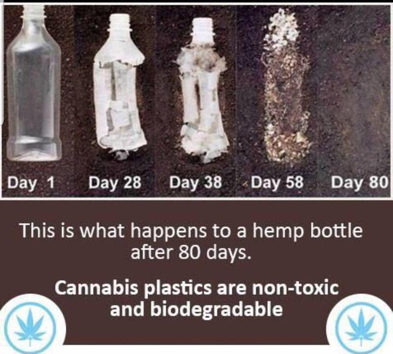 hemp-bioplastic hemp-bioplastic