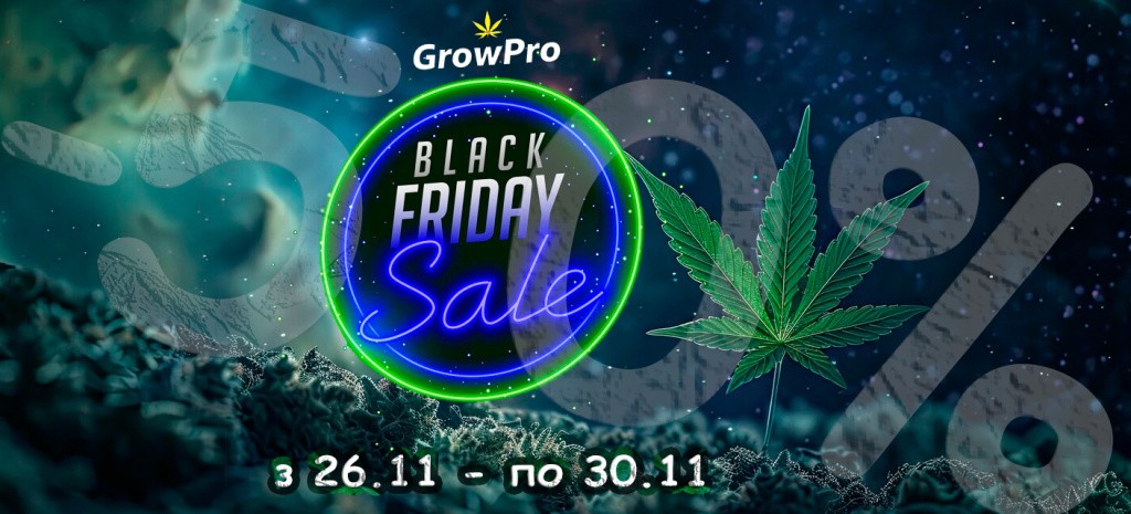 BlackFriday_9.jpg