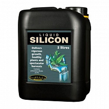 Liquid Silicon Growth Technology (5L)