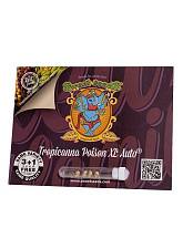 Tropicanna Poison XL Auto autofem (SwS) (3+1 шт.)