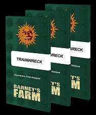 Trainwreck fem (Brn) (10 шт.)