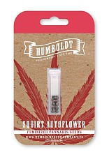Squirt Auto autofem (HmbS) (5 шт.)