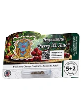 Tropicanna Cherry XL Auto autofem (SwS) (5+2 шт.)
