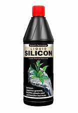 Liquid Silicon Growth Technology