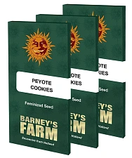 Peyote Cookies fem (Brn) (3 шт. уцінка 22-23 рік)