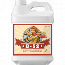 Advanced Nutrients B-52 (250 ml)
