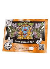 Sweet Mimosa XL Auto autofem (SwS) (3+1 шт.)