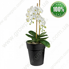 Горщик сад орхідей 14x16 см, 1,5л