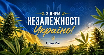 График работы на День независимости 2026!