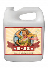 Advanced Nutrients B-52 (5L)