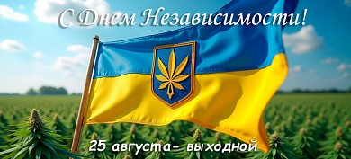 График работы на День независимости 2025!