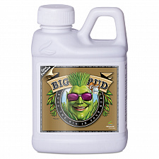 Advanced Nutrients BIG BUD COCO (250ml)