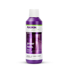 PLAGRON Power Roots (100ml)