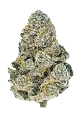Mix Pack fem (FsBd)  (10 шт.)