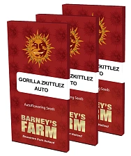 Gorilla Zkittlez autofem (Brn) (1 шт. уцінка 22-23 рік)