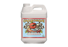 Advanced Nutrients Overdrive (10L)