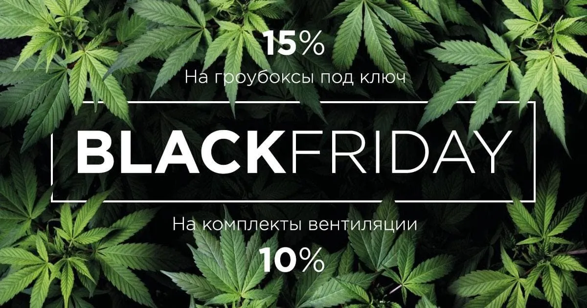 Black Friday!