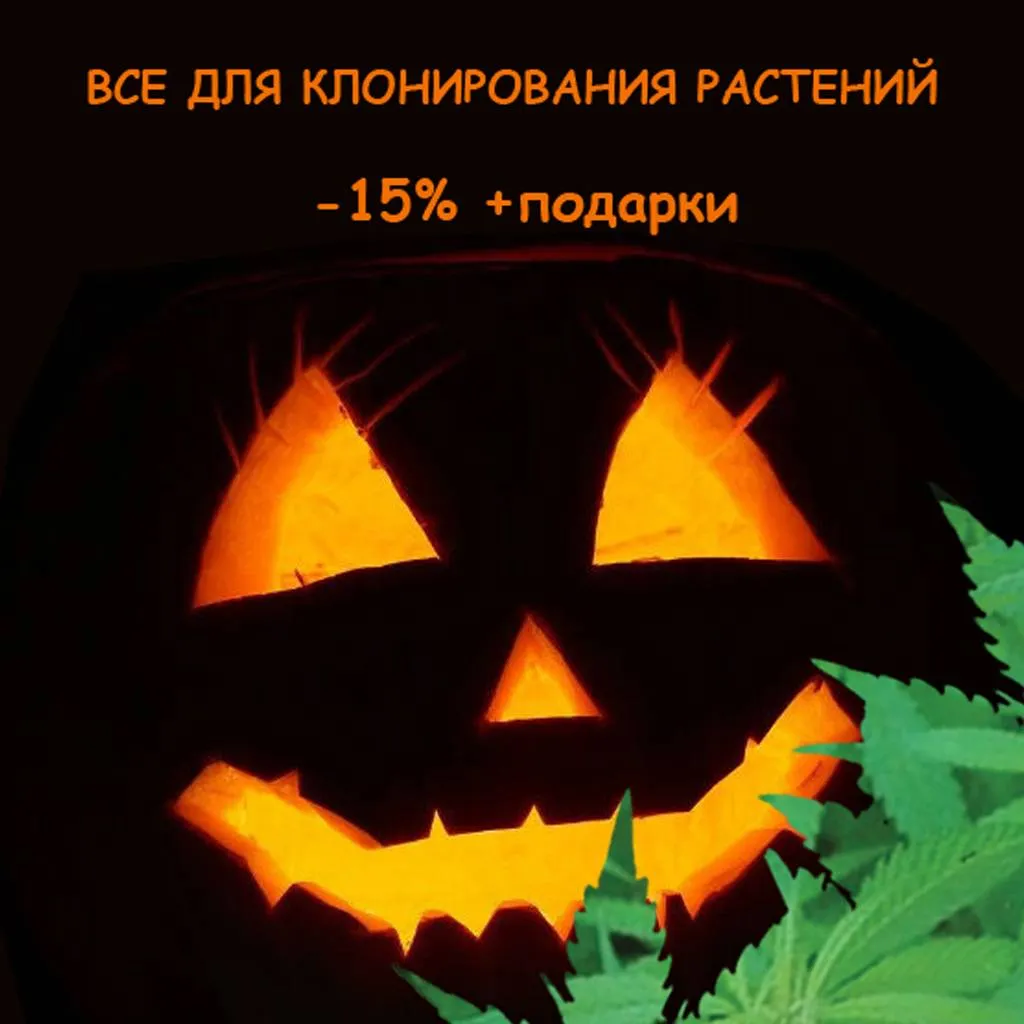Скидки и подарки на Halloween