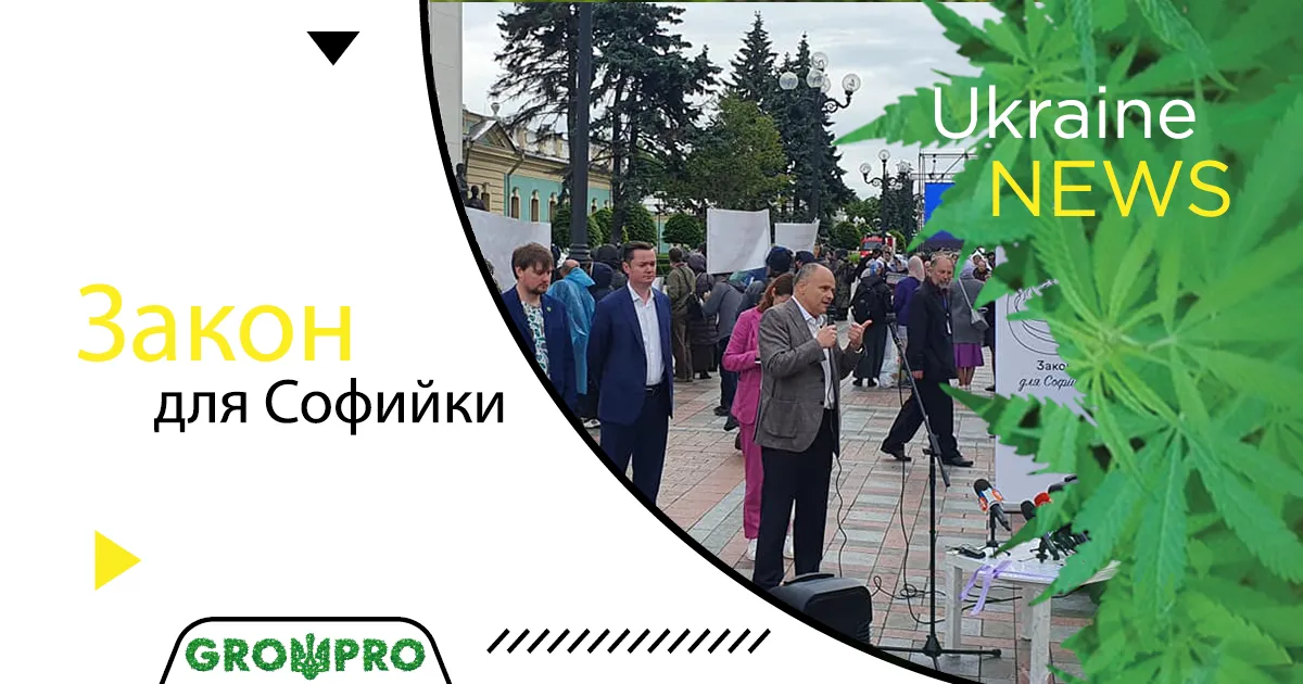 Легалізація медичного канабісу