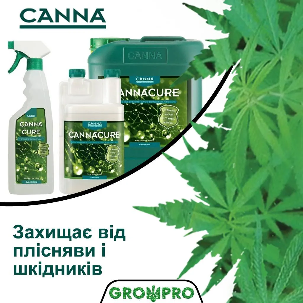 Здорові листя і органічна боротьба зі шкідниками