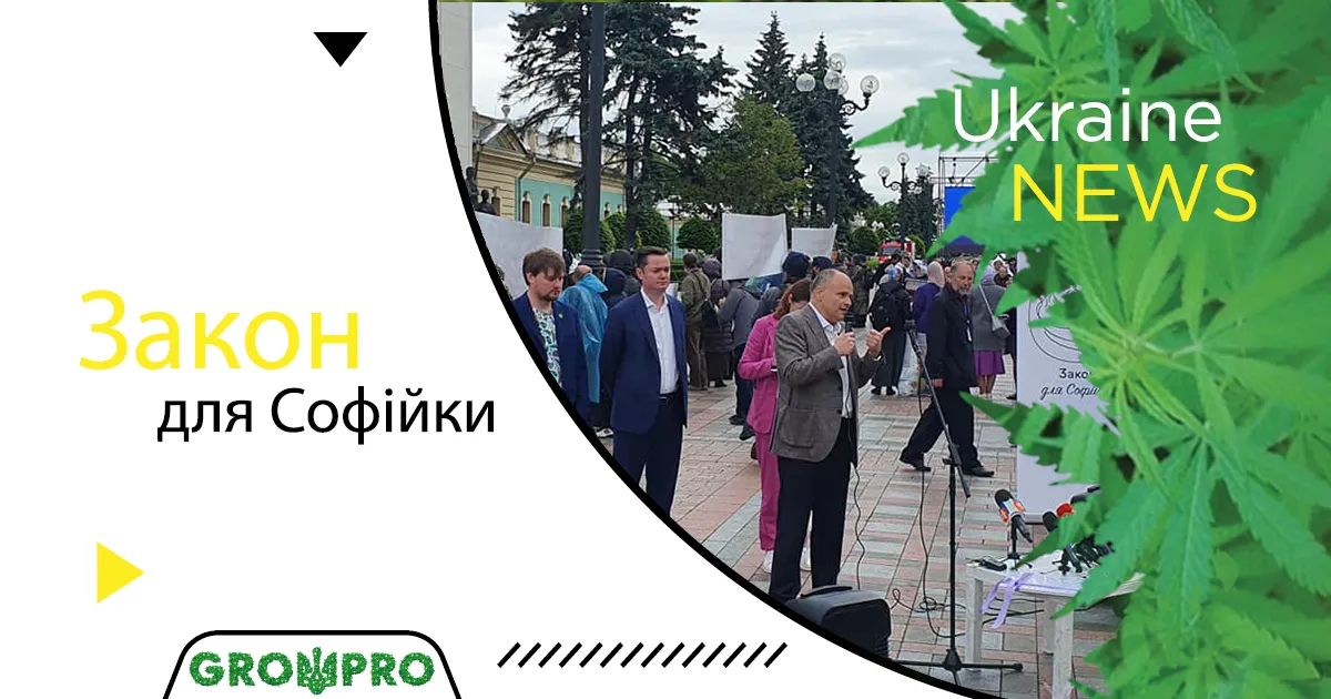 Легализация медицинского каннабиса