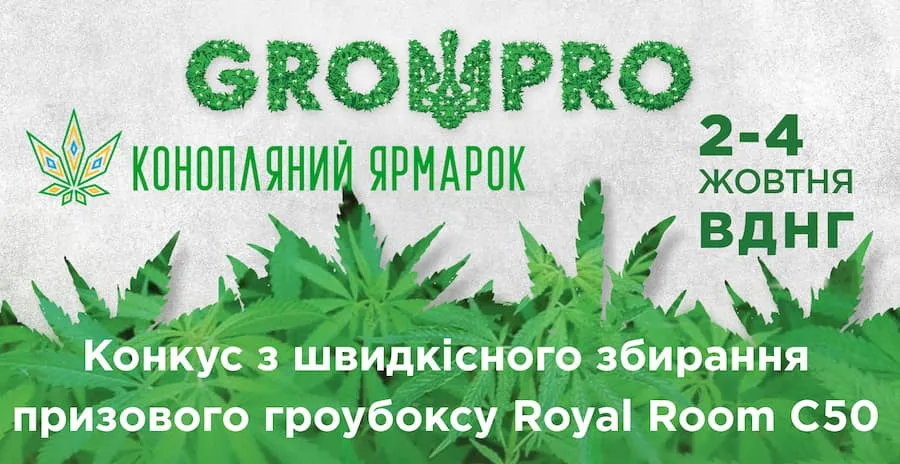 Кто хочет выиграть Royal Room C50?