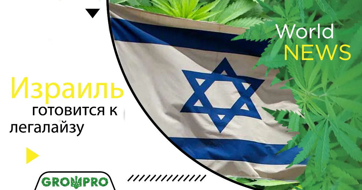 Конопляная реформа в Израиле