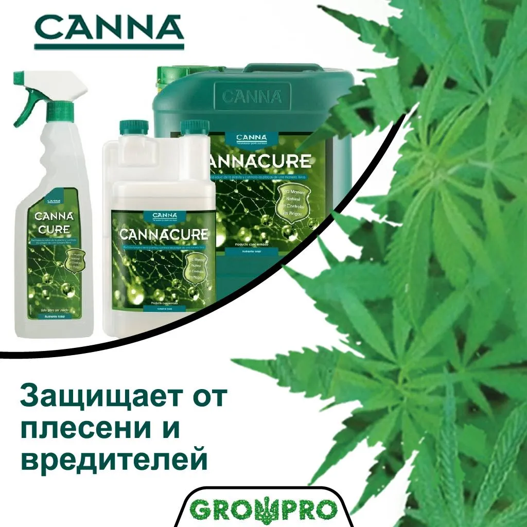 Здоровые листья и органическая борьба с вредителями