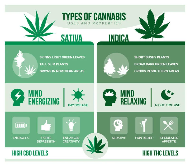 indica-sativa-differences.jpg